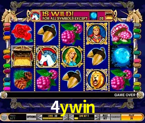 Cassino ao vivo com dealers reais na 4ywin