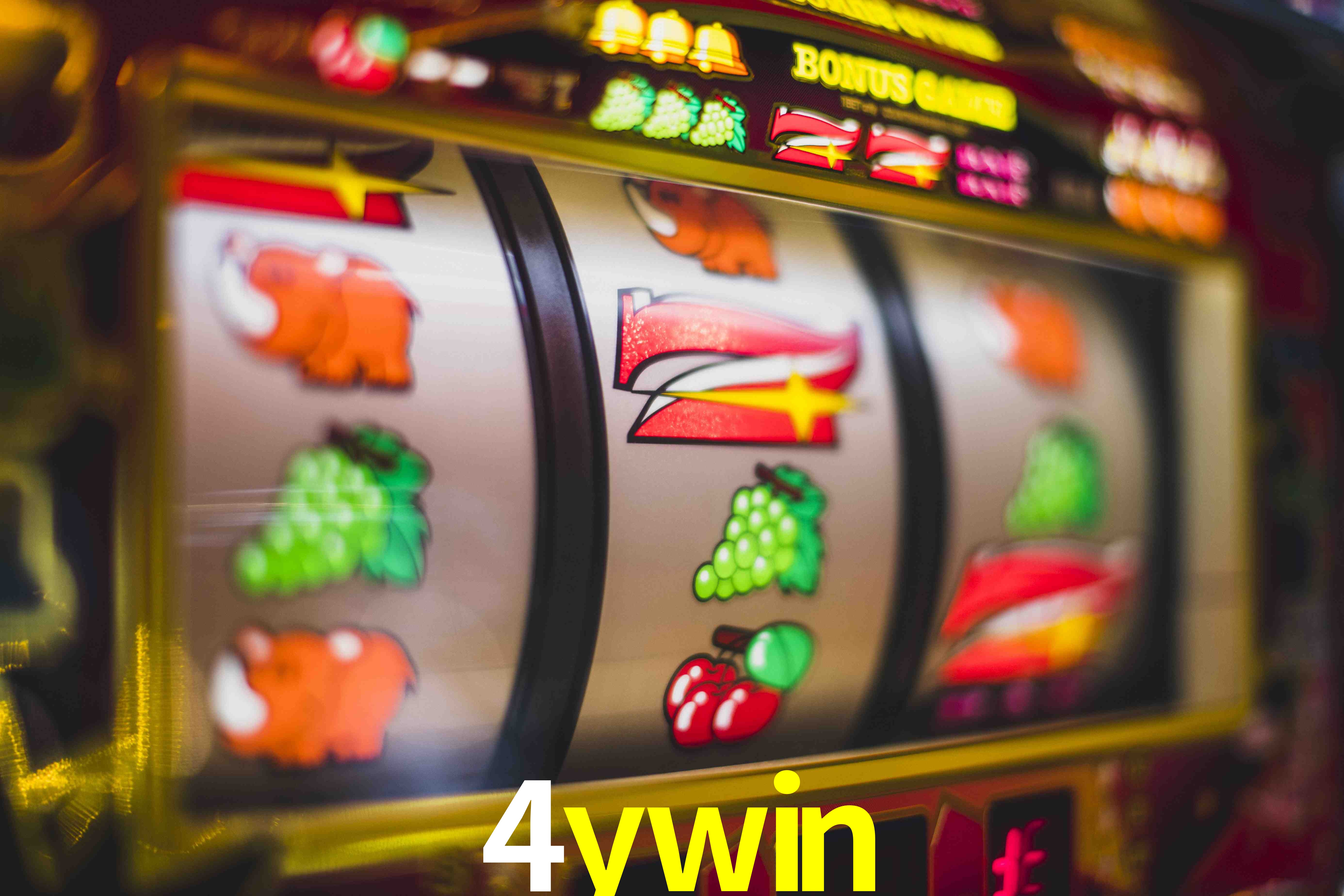 Basketball Betting 4ywin